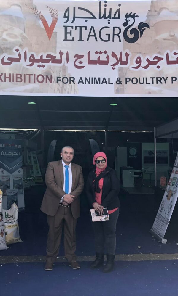 The first session (17)