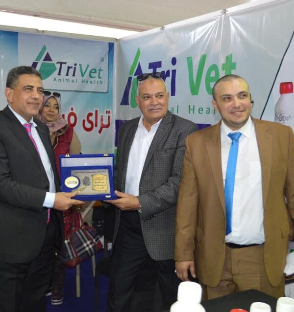 The first session (18)