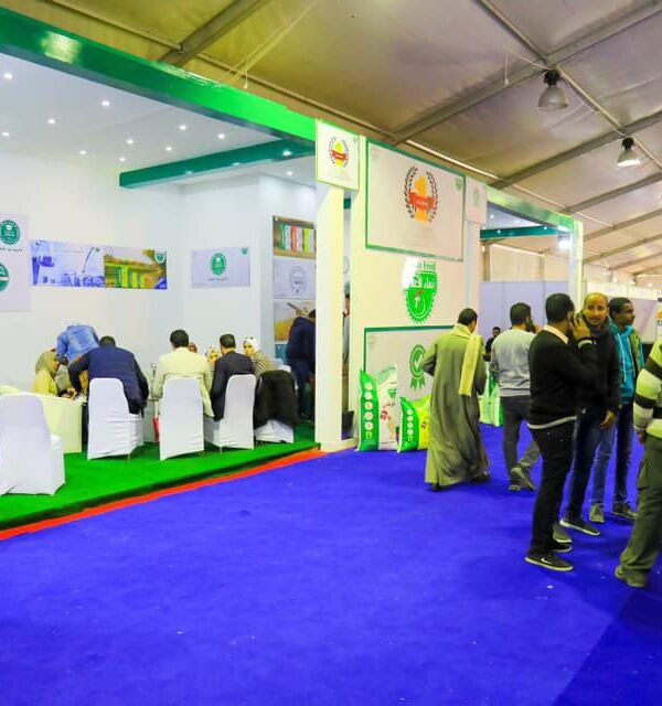 The first session (2)