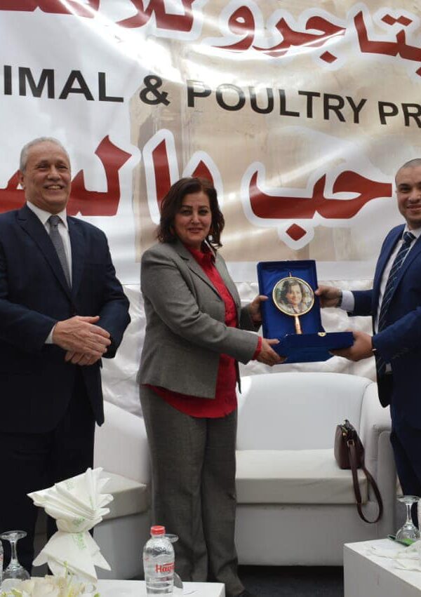 The first session (21)