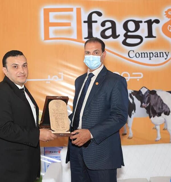 The Second session (7)